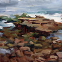 Low Tide at La Jolla Coves