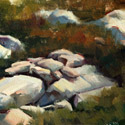Rocks at Oak Oasis