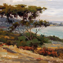 View of La Jolla Shores